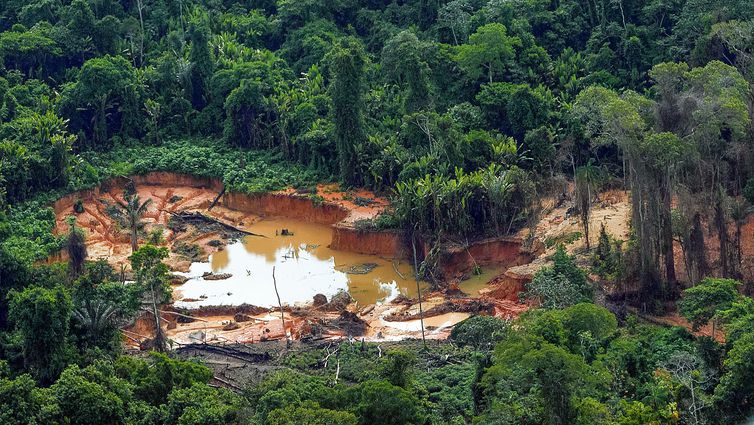 Surucucu (RR), 11/02/2023 - GARIMPO: ação coordenada do governo federal no território Yanomami encontra comunidade de povo indígena isolado (Moxihatëtë). Eles vivem a apenas 15 km de um ponto de garimpo.