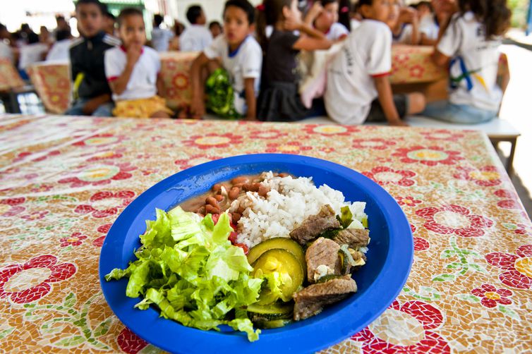 Merenda escolar -  Ministério do Desenvolvimento e Assistência Social, Família e Combate à Fome