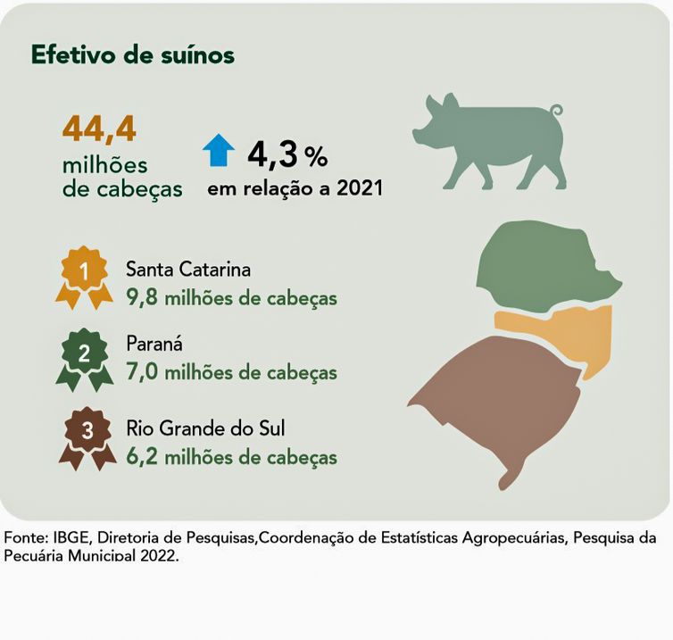 Brasília (DF) 20/09/2023 - ILUSTRAÇÕES - Pecuária brasileira colecionou recordes em 2022, aponta IBGE
Fonte IBGE/Divulgação