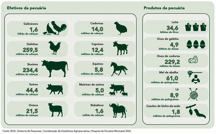 Brasília (DF) 20/09/2023 - ILUSTRAÇÕES - Pecuária brasileira colecionou recordes em 2022, aponta IBGE
Fonte IBGE/Divulgação