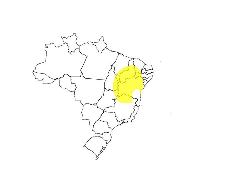 Brasília (DF) 22/11/2024 - Inmet prevê chuva volumosa em todo o Nordeste até sexta-feira
Mapa ALERT-AS/Divulgação