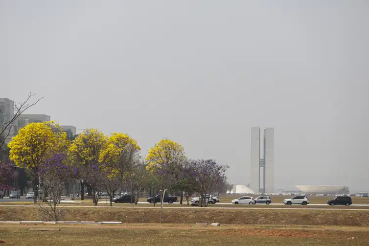 Brasília (DF) 26/08/2024- Brasília amanhece encoberta por fumaça de queimadas.
Foto: Joédson Alves/Agência Brasil