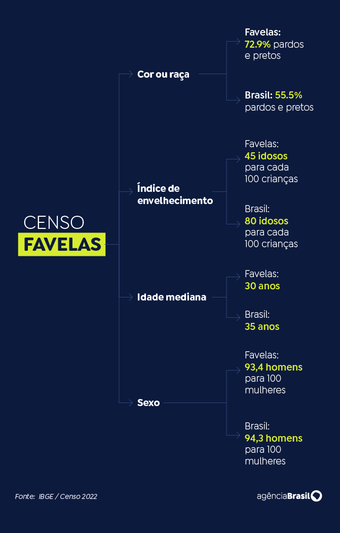 Brasília (DF), 07/11/2024 - Arte para a matéria Censo das favelas. Arte/Agência Brasil